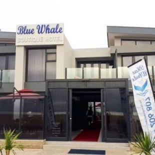 Фотография гостиницы Blue Whale Hotels