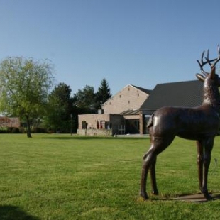 Фотография гостиницы Hotel L'Ami du Chambertin