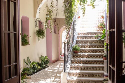 Фотография мини отеля Kuka y Naranjo