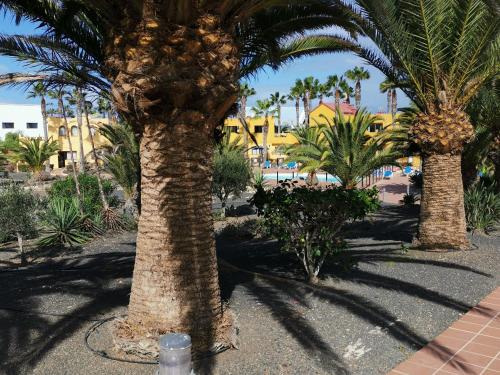 Фотография гостевого дома casa Sun&Sand Corralejo