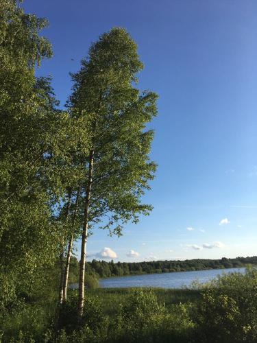 Фотографии гостевого дома
В Квашнино