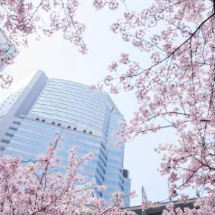 Фотографии гостиницы 
            The Strings by InterContinental, Tokyo, an IHG Hotel