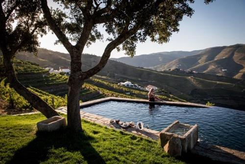 Фотография базы отдыха Quinta da Côrte