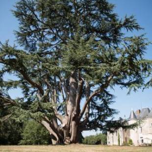 Фотографии мини отеля 
            Château de Piolant