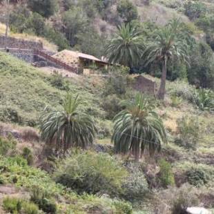 Фотографии гостевого дома 
            Casa Rural El Rincón de Antonia