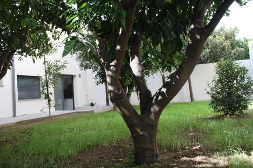 Фотография общежития Residencia Mayol - Только для взрослых