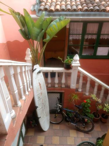 Фотография хостела Hostel Tenerife