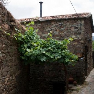 Фотография гостевого дома Casa da Urze