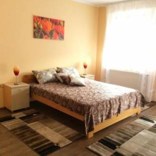 Фотографии мини отеля 
            B&B Zmajevo Gnezdo 021