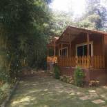 Фотография мини отеля Coorg amodhini