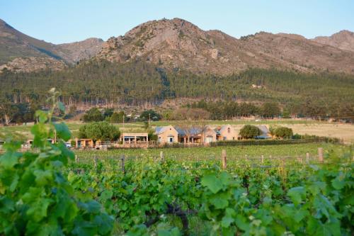 Фотография базы отдыха Heuwelsig Cottages