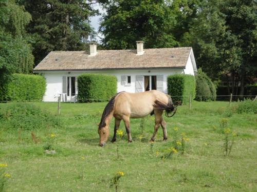 Фотографии гостевого дома 
            Le Domaine du Marquenterre