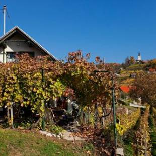 Фотографии гостевого дома 
            Vineyard Cottage Vercek