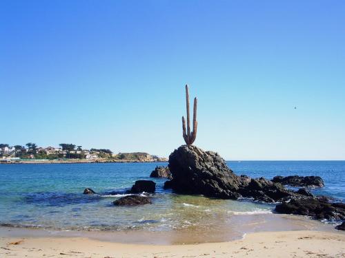 Фотография гостевого дома CABAÑA QUISQUEÑA