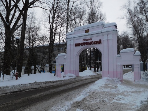 Карта брянский район мичуринский