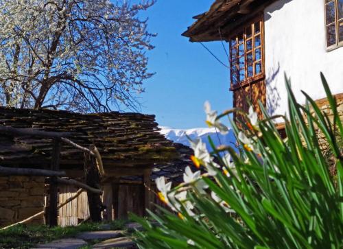 Фотография гостевого дома Karashka house