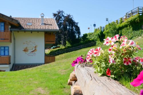 Фотография мини отеля BB le Fontanelle