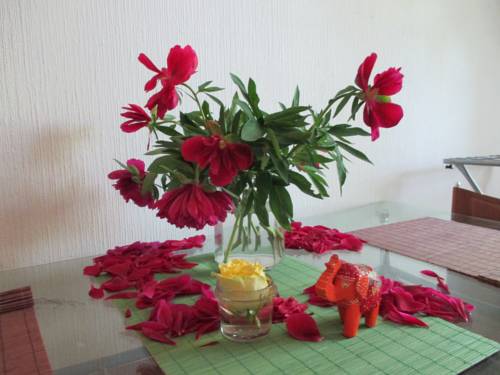 Фотография хостела Мансарда в центре города