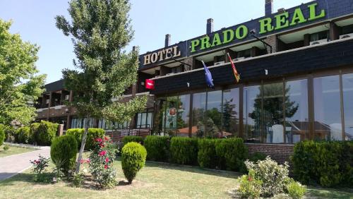Фотография гостиницы Hotel Prado Real