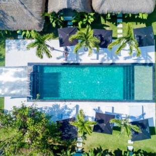 Фотографии гостиницы 
            White Palm Hotel Bali