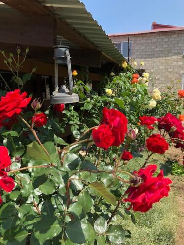 Фотография гостевого дома Солнце