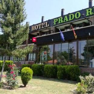 Фотографии гостиницы 
            Hotel Prado Real