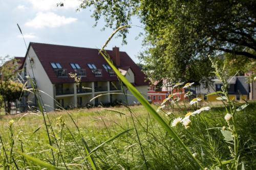 Фотография гостиницы Landhotel Kräuterberg’l Kreischa