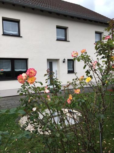 Фотография гостевого дома Zum Rosenhügel
