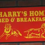 Фотография мини отеля Harry's Home Tiel Bed & Breakfast