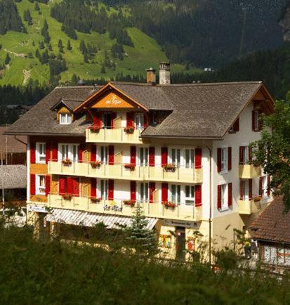 Фотографии мини отеля 
            Hotel Des Alpes