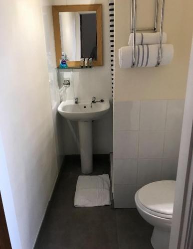 Фотография гостиницы dalesman hotel