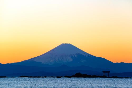 Фотография гостиницы Scapes The Suite