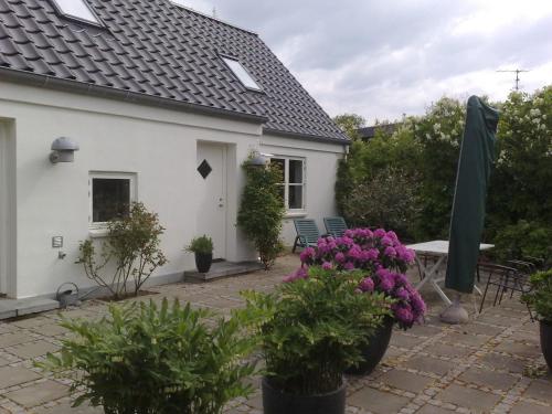 Фотография гостевого дома Helts B&B - Helts Guesthouse