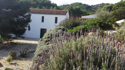 Фотография гостевого дома Finca Las Morenas