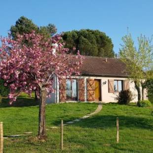 Фотографии гостевого дома 
            Gîte de la pomme de pin