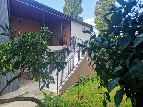 Фотографии гостиницы
Вилла Мандарини