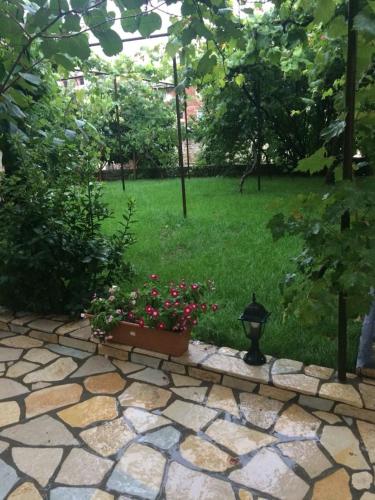 Фотография гостевого дома Vila Culli