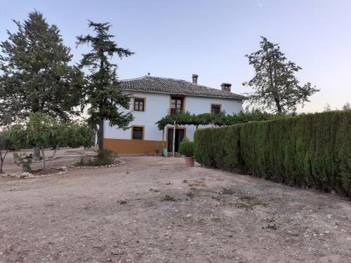 Фотография гостевого дома CORTIJO LOMA DEL BELLOTON
