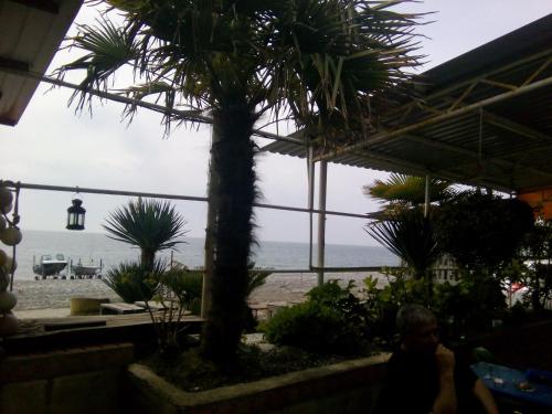 Фотография гостевого дома Солнечный