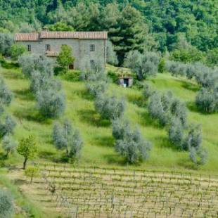 Фотографии базы отдыха 
            Agriturismo Bindozzino