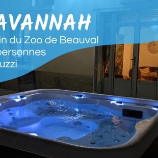 Фотография гостевого дома --` Savannah `-- Jacuzzi - A 3min du Zoo de Beauval -