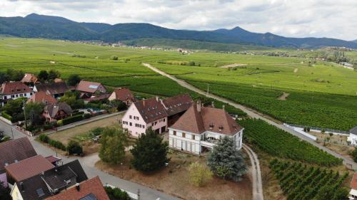 Фотография гостевого дома gîtes au domaine Greiner