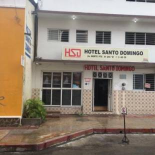 Фотографии гостиницы 
            Hotel Santo Domingo