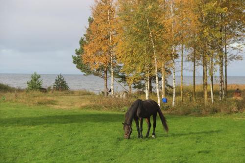 Фотографии гостевого дома
Красный домик
