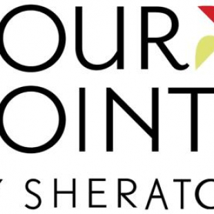 Фотография гостиницы Four Points by Sheraton Albany