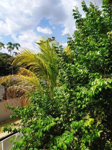 Фотография мини отеля Pousada Nenzinha