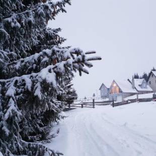 Фотографии гостевого дома 
            Home Belić Golija