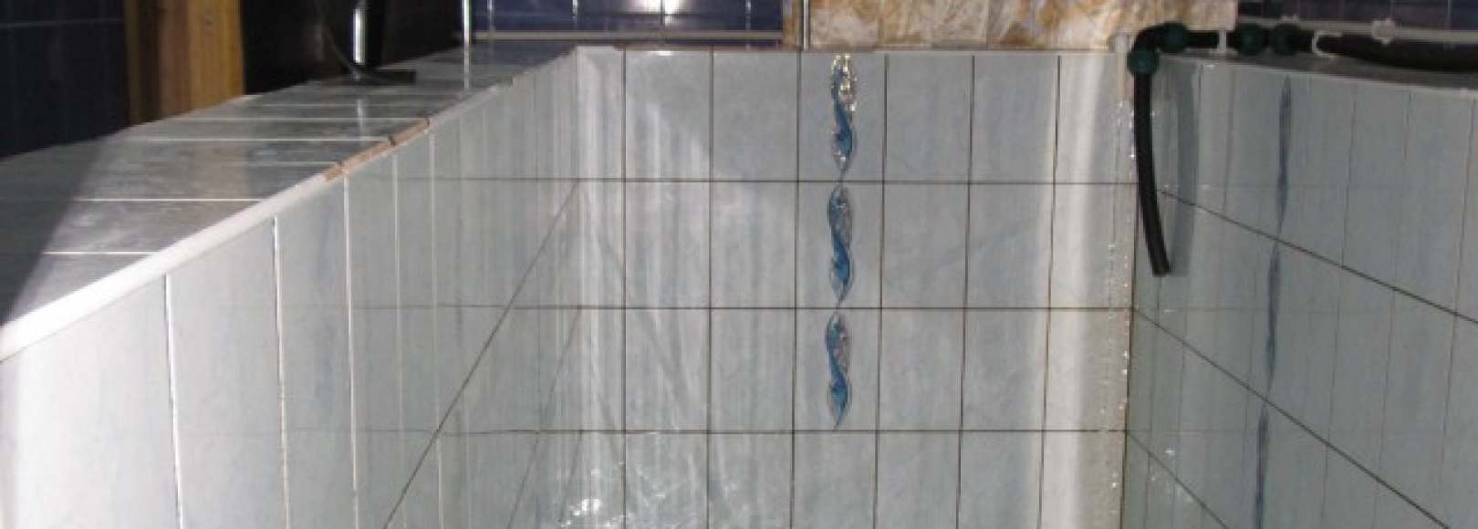 Фотография сауны Ромашка