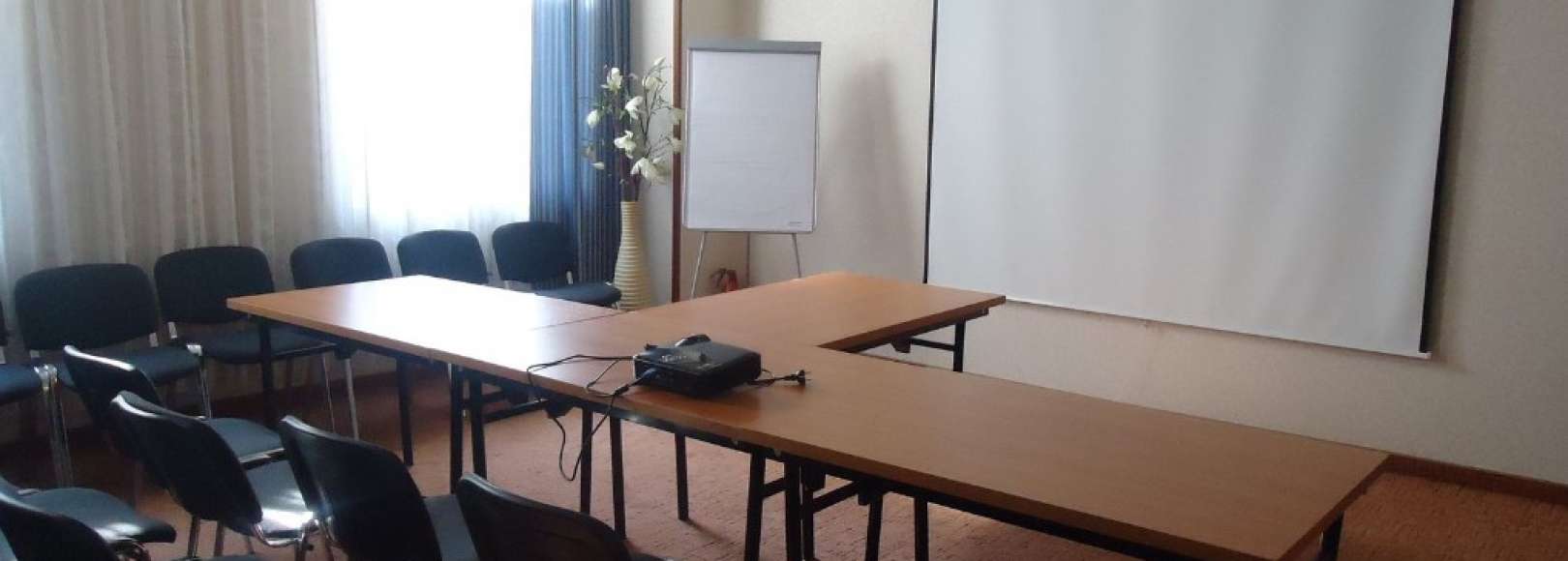 Фотография конференц-зала Стойлянка