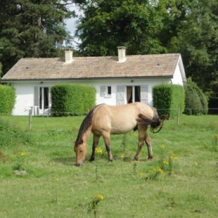 Фотография гостевого дома Le Domaine du Marquenterre